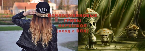 ешки Алексеевка